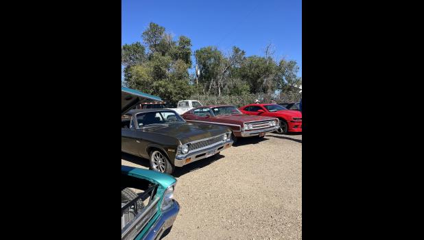 Beautiful ... shiny, sparkling autos galore. Photo courtesy Chizum Johnson